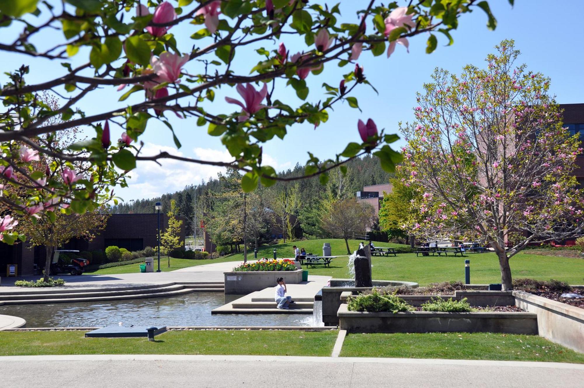 Ubc Okanagan Campus Kelowna Kültér fotó